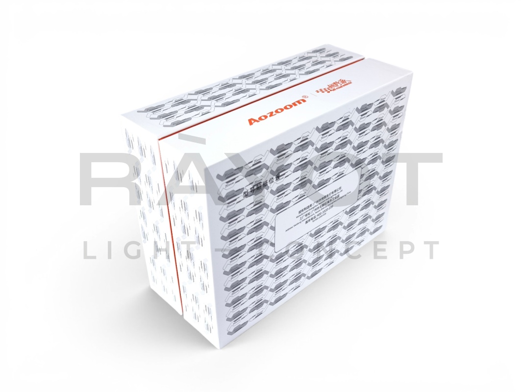 Светодиодные модули AOZOOM AZ-10, 12V, 64/77W, 6000K (комплект 2шт)